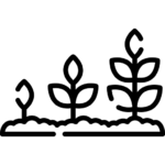 Symbol für persönliches Wachstum durch Therapie